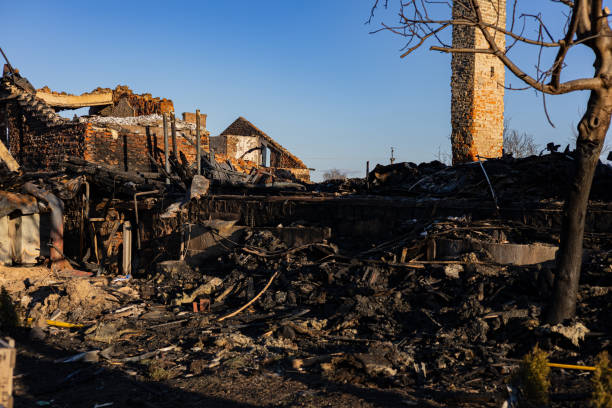 Reliable Fire Damage Removal contractor in Hudson, FL by Fire Damage Doption